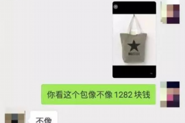 大丰遇到恶意拖欠？专业追讨公司帮您解决烦恼